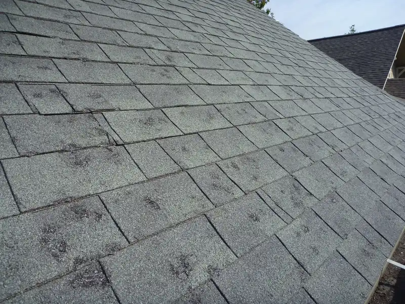 Close-up of gray asphalt shingles with round hail bruises.
