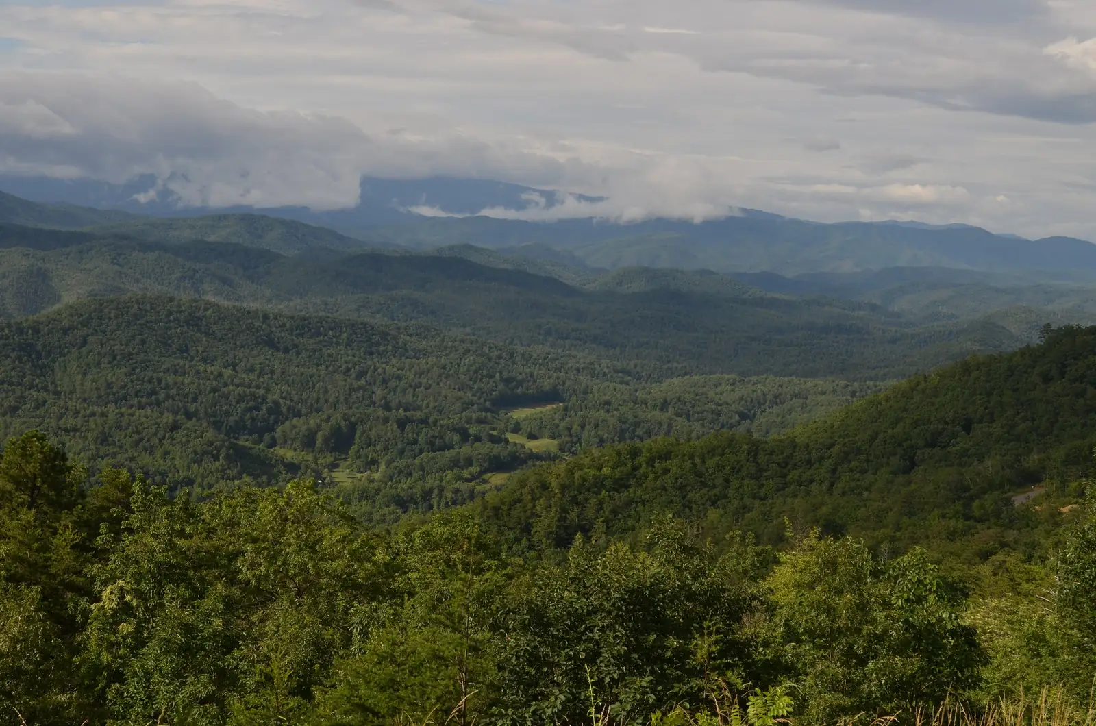 Smoky Mountain ridgelines under low cloud from a Foothills Parkway overlook